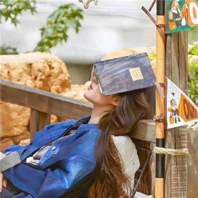 小狗吉米走私事件